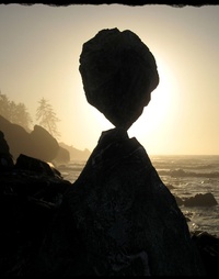 Picture for NIRVANA package